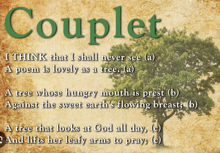 <p>a unit of poetry containing two lines of verse that form a singular thought or idea. can be rhymed or un-rhymed</p>