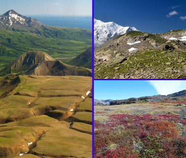 <p>Climate: too cold, little precipitation</p><p>Vegetation: few small trees, shrubs, flowering plants, moss and lichens</p><p>Physiography: barren and somewhat rocky, <strong>permafrost </strong>soil</p><p>Location: <strong>Yukon</strong>, <strong>Northwest Territories</strong>, <strong>Nunavut</strong>, northeastern <strong>Manitoba</strong>, northern <strong>Ontario</strong>, northern <strong>Quebec</strong> and northern <strong>Labrador</strong></p>