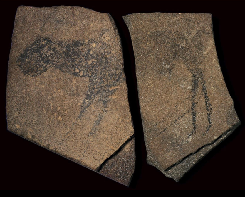 <p>What is this and where is it from?</p>