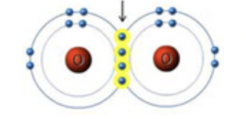 <p>a _______ bond joins these two oxygen atoms</p>