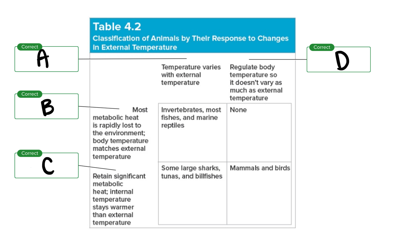 <p>For table 4.2, what is B?</p>