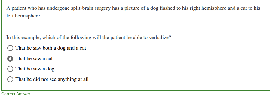 <p>that he saw a cat</p>