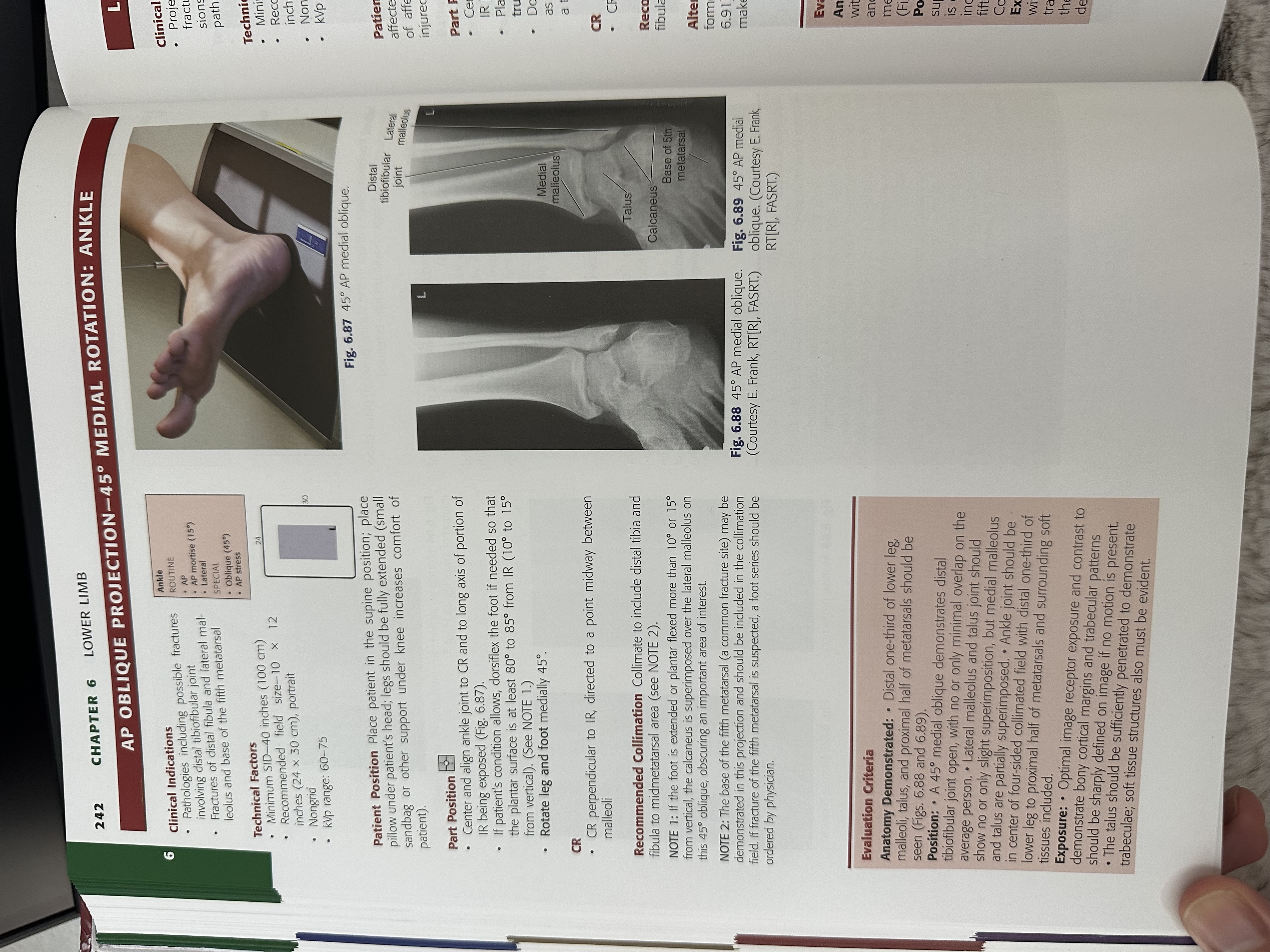 knowt flashcard image