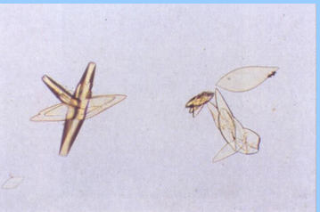 <p>What are these?</p>