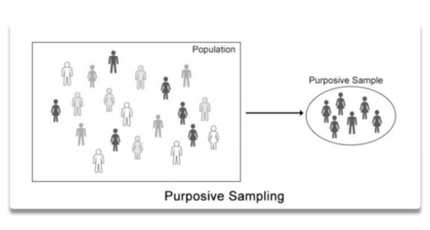 <p>a biased sampling technique in which only certain kinds of people are included in a sample</p>