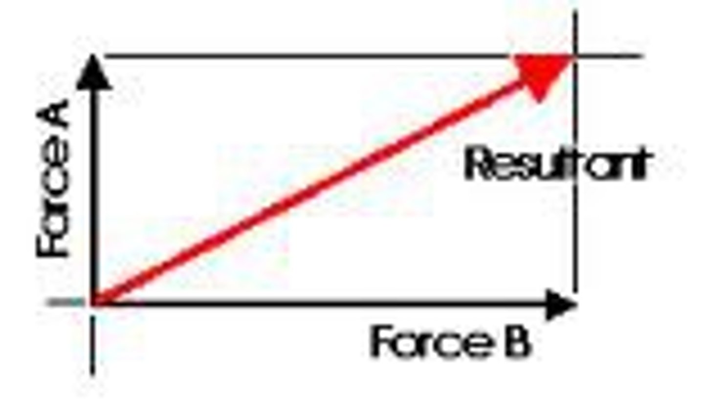 <p>The net result of a combination of two or more vectors.</p>