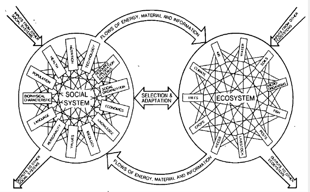 <p>What human ecological framework is this?</p>