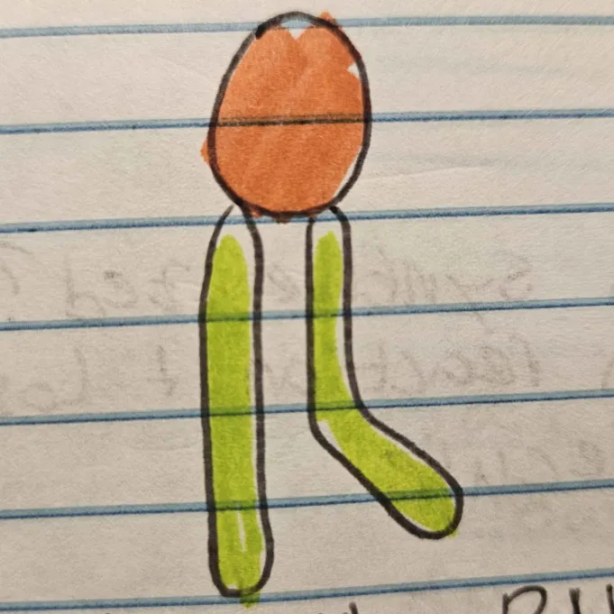 <p>Having both hydrophilic and hydrophobic parts (ex. phospholipid bilayer with hydrophilic head and hydrophobic tail)</p>