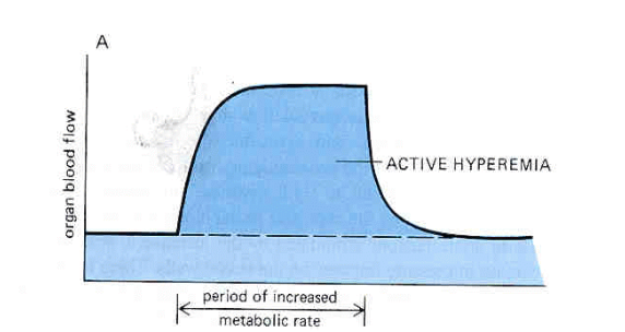 <p>Explain what this graph is showing. </p>