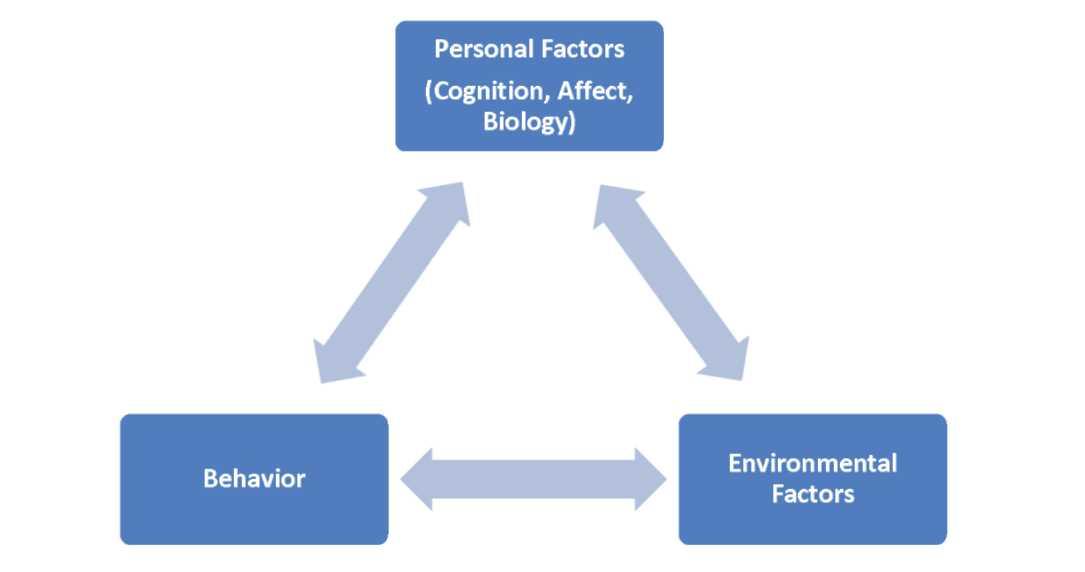 <p>A theory that describes the factors that influence behaviours</p><p>Believes that individuals engage in their own development</p>