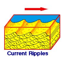 <p>asymmetrical gentle slope upcurrent side, steep on downcurrent side</p>