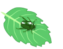 <ul><li><p><span><span>consists of changes in allele frequency in a population over time</span></span></p></li></ul><p></p>