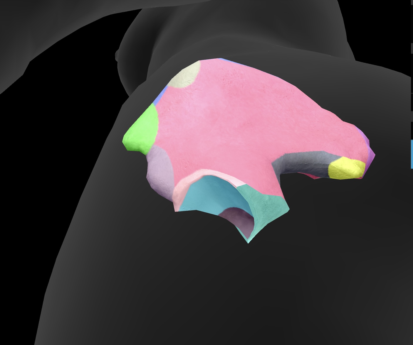 <p>The smooth, curved surface of the acetabulum that articulates with the head of the femur, forming part of the hip joint. </p>