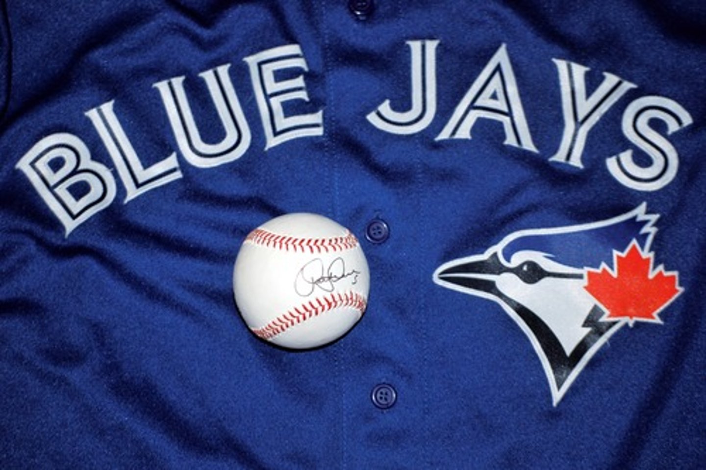 <p>Bluejays</p>
