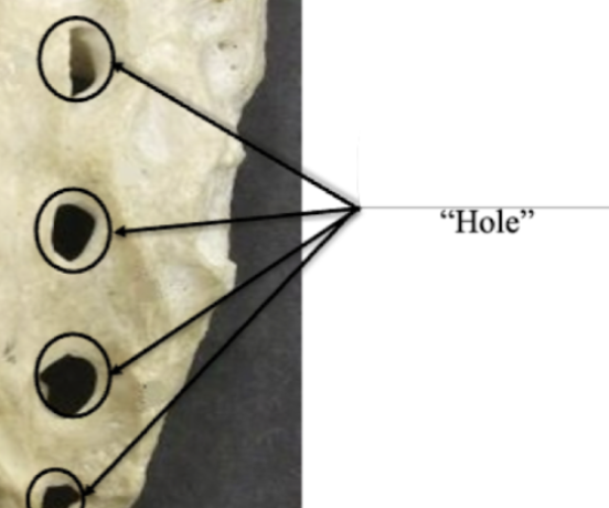 <p>Label these holes </p>