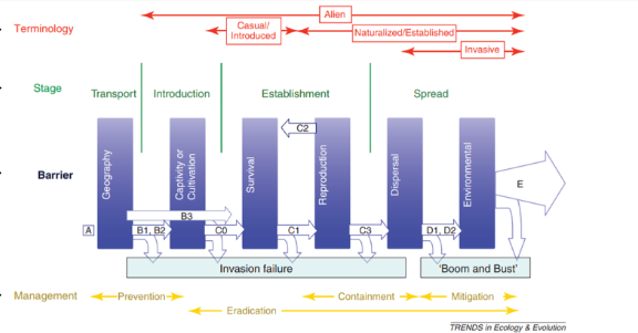 <p>transport and introduction</p>