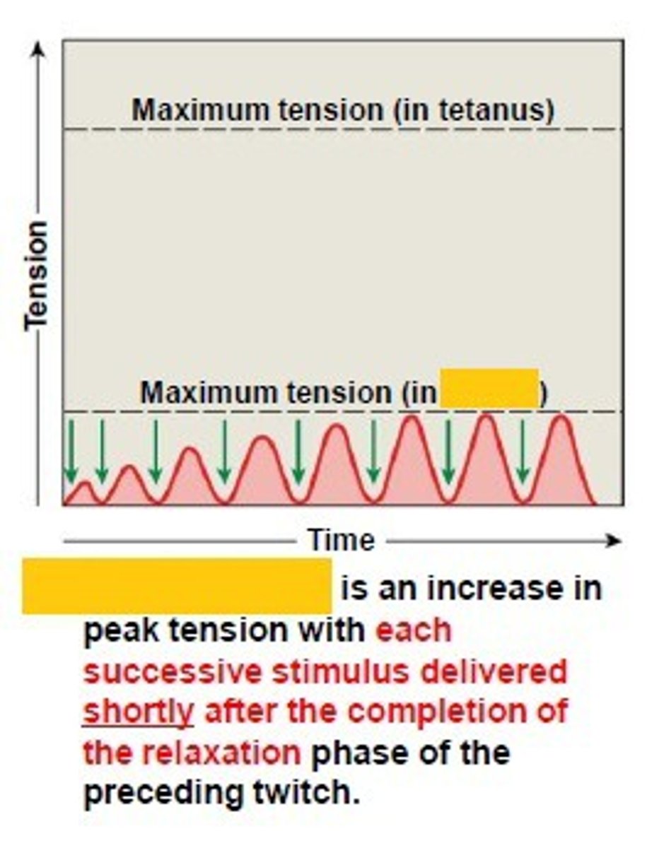 <p>Muscle stimulated frequently, but the muscle is allowed to fully relax before the next stimulus arrives. Results in greater tension, but not dramatic increase.</p>