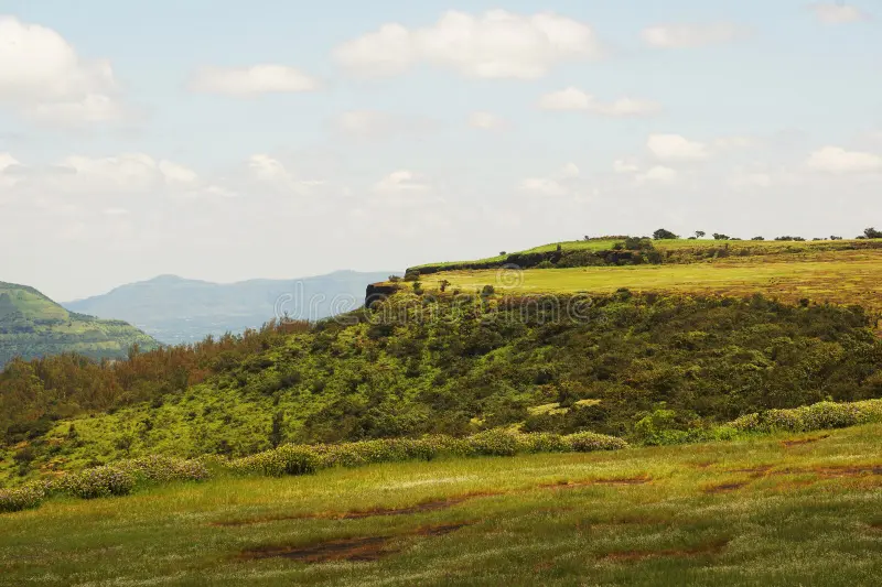 <p>Plateau </p>