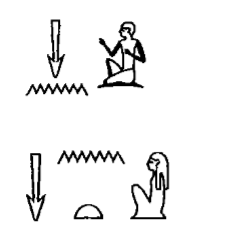 term image