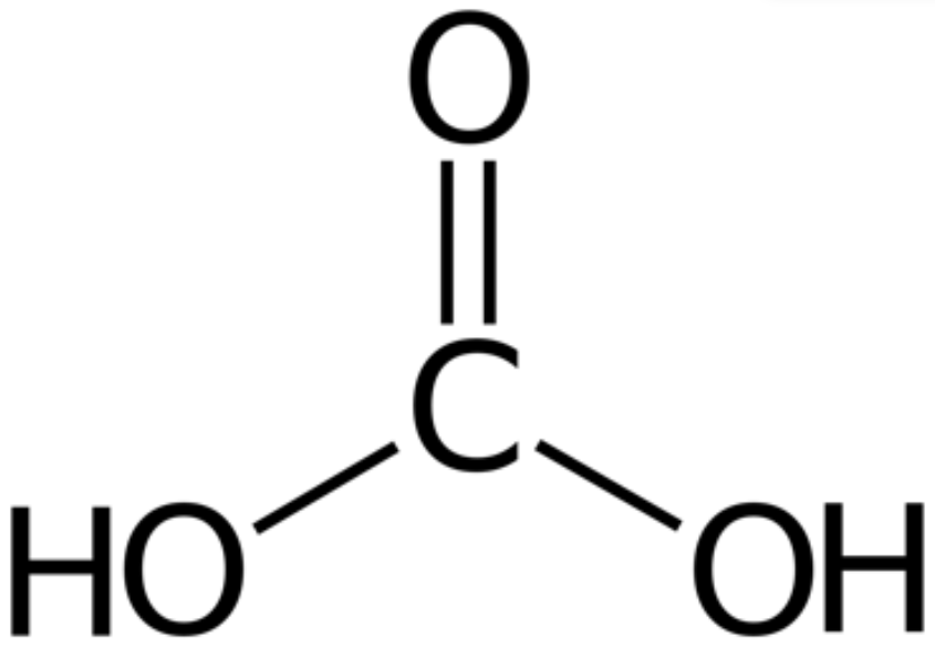 <p><span>This is </span><span style="color: mediumseagreen"><strong>[name]</strong></span></p>