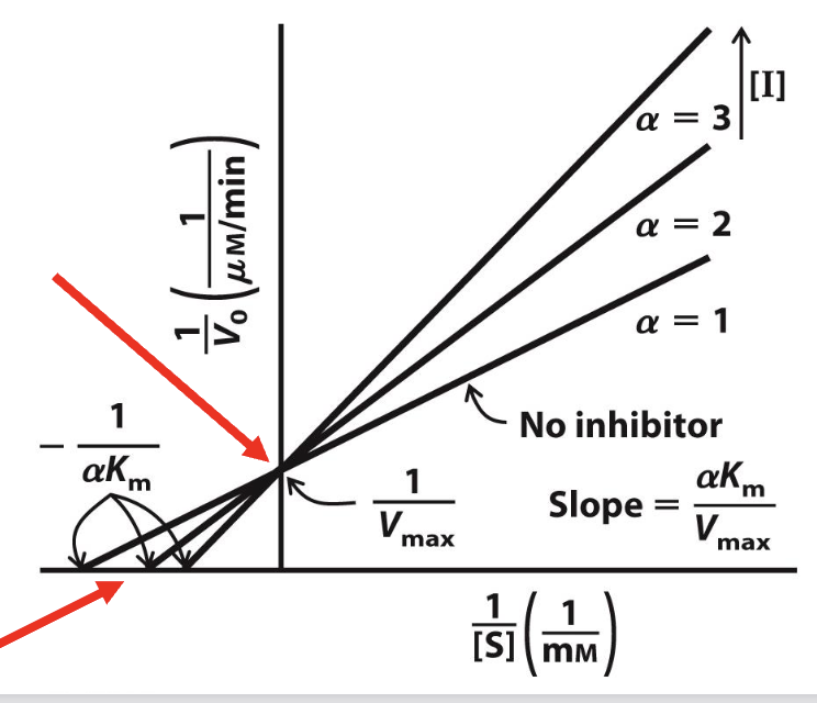 <p>What plot is this?<br>a. Ping-Pong Kinetic Mechanism&nbsp;<br>b.Competitive Inhibition&nbsp;<br>c. Sequential Kinetic Mechanism&nbsp;<br>d. Mixed Inhibition&nbsp;<br>e. Uncompetitive&nbsp;Inhibition </p>