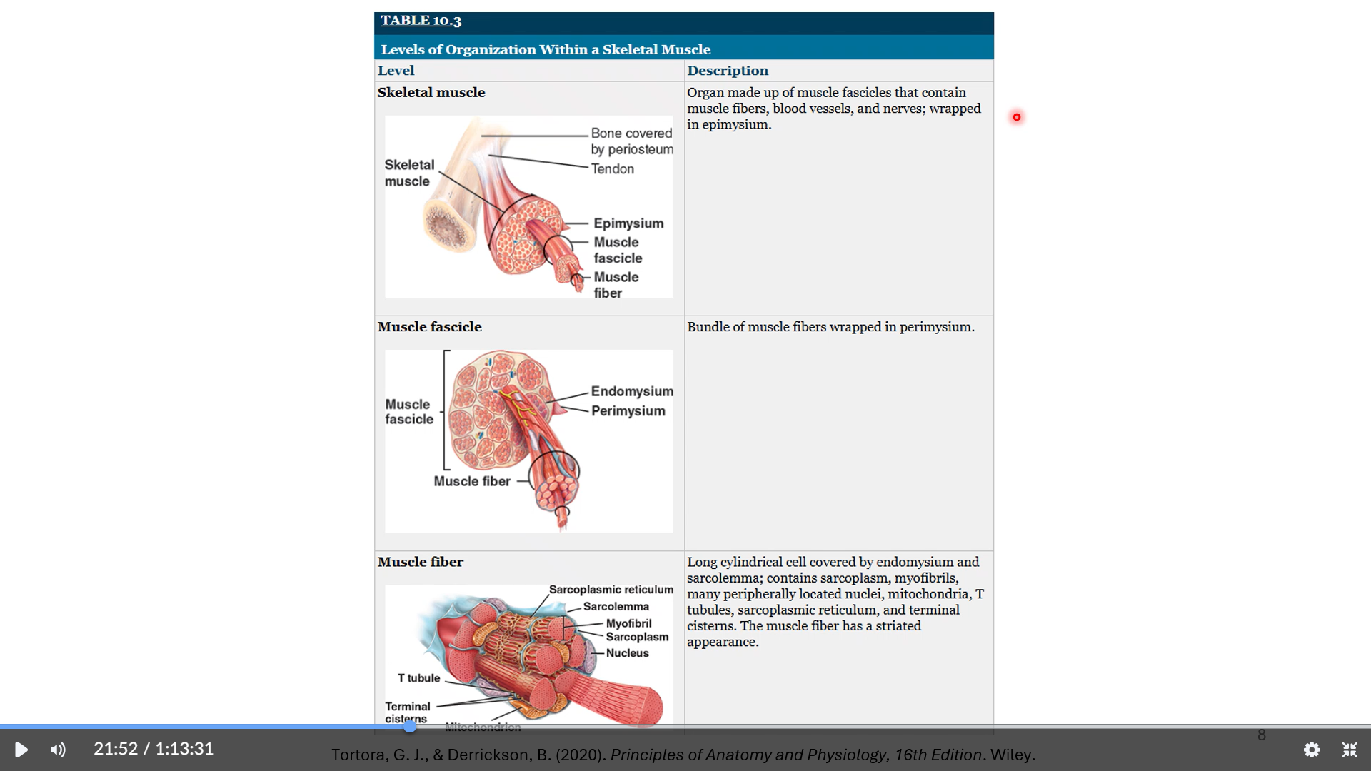 knowt flashcard image
