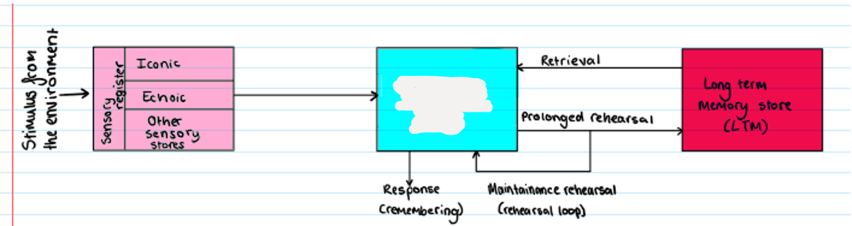 <p><strong>Multi Store Model</strong></p><p>What is missing</p>