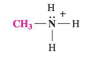 <p>classify the following amine</p>