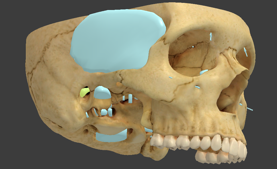 <p>a canal in the temporal bone that conveys sound waves to the eardrum</p>