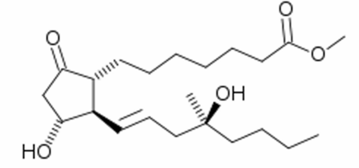 <p>What is this structure</p>