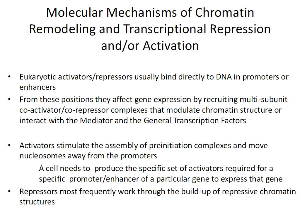 <p><strong>DNA Binding</strong><br> Activators and repressors usually bind directly to DNA in promoters or enhancers</p><p><strong>Gene Expression Regulation</strong><br> From these positions they recruit multi-subunit co-activator or co-repressor complexes<br> These complexes modulate chromatin structure or interact with the Mediator and General Transcription Factors</p><p><strong>Activators</strong><br> Stimulate assembly of preinitiation complexes<br> Move nucleosomes away from promoters</p><p><strong>Specificity</strong><br> A cell must produce the specific set of activators required for a specific promoter or enhancer to express a particular gene</p><p><strong>Repressors</strong><br> Often work by building repressive chromatin structures</p><p><strong>Mechanisms</strong><br> Chromatin remodeling can lead to transcriptional repression or activation</p>