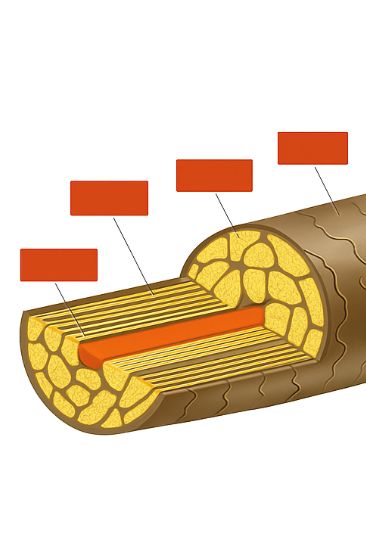 <p>Fourth Box</p>