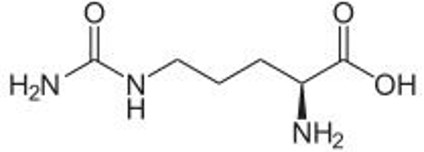 <p>Intermediate formed from ornithine and carbamoyl phosphate.</p>