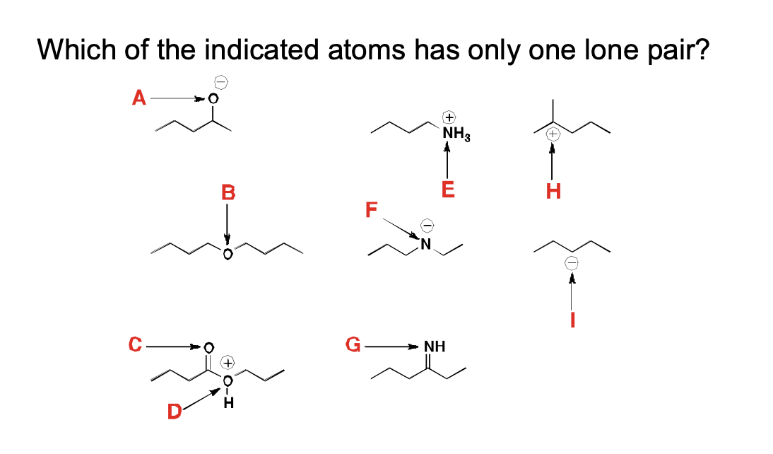 <p>Which of the indicated atoms has only one lone pair?</p>