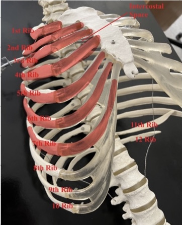 <p>1-7</p>