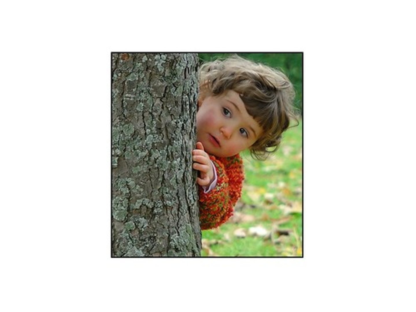<p>to hide</p>