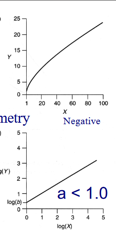 <p>Y increases at a slower rate than X</p>