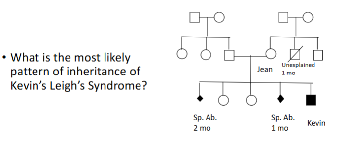 <ul><li><p>Autosomal recessive</p></li><li><p>X linked recessive</p></li><li><p>Matrilineal (mitochondrial)</p></li><li><p>De novo mutation in Kevin</p></li><li><p>X linked dominant</p></li></ul><p></p>