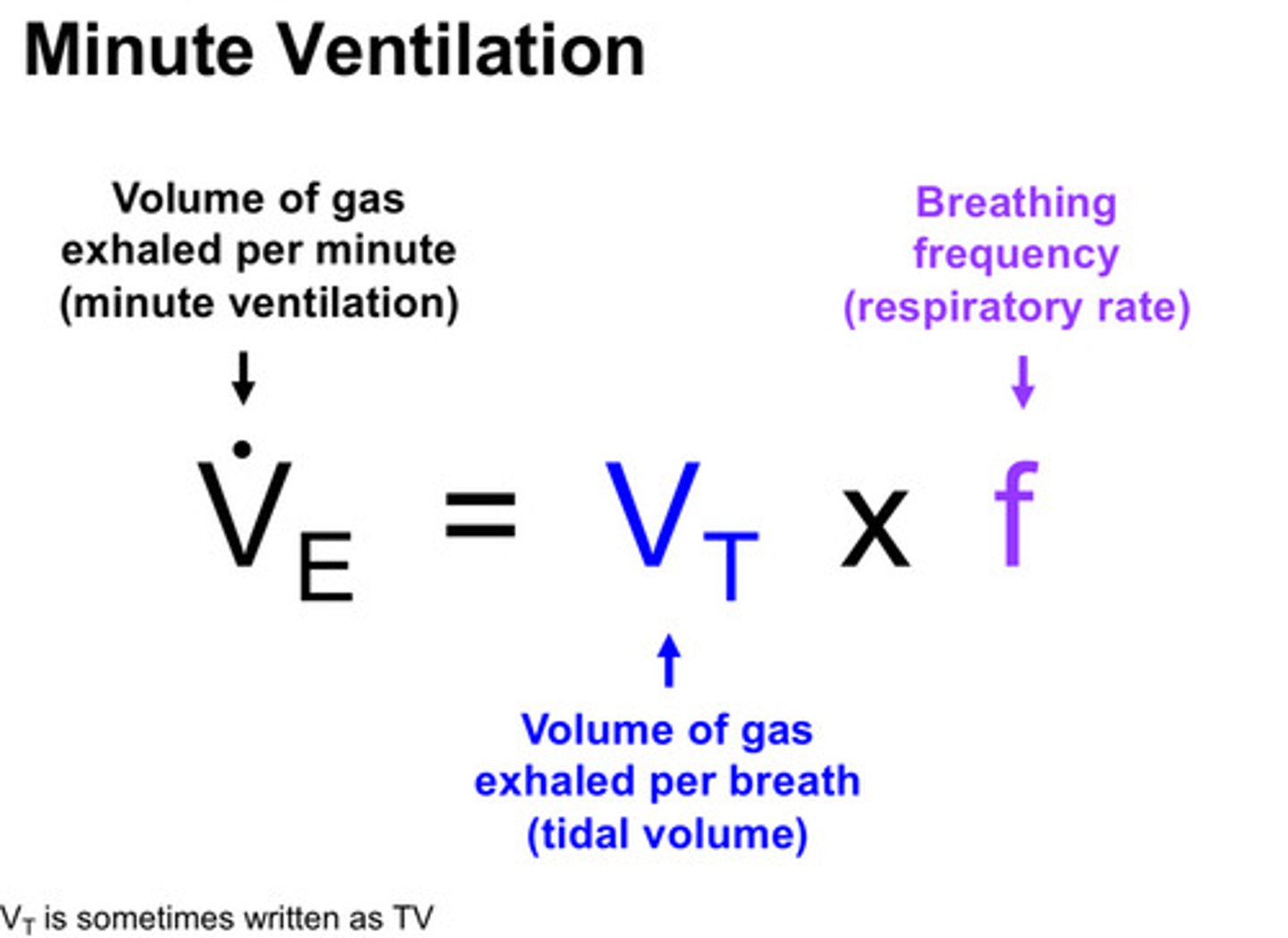 <p>VT x f = V.E</p><p>tidal volume x respiratory rate = minute ventilation</p><p>(you can breathe at a very high RR, but if tidal volumes are very low, then minute ventilation may actually be low and vice versa)</p>