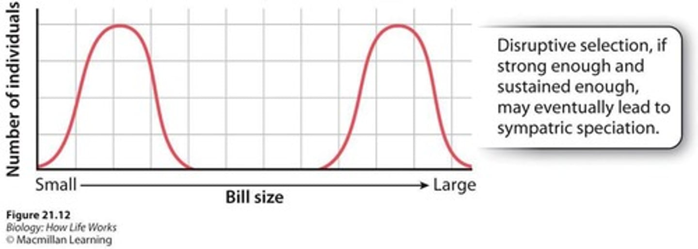 <p>It can drive reproductive isolation in the absence of physical separation.</p>