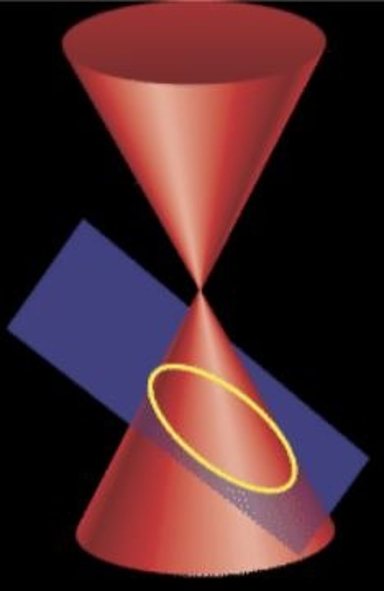 <p>cutting plane is not parallel to any generator</p>