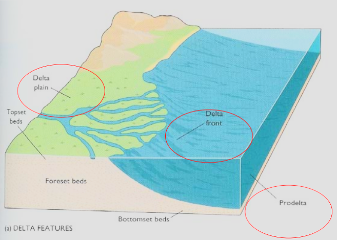 <p>From landward to seaward: Delta plain, delta front, prodelta</p>