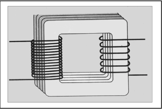 <p><span><strong>Primary</strong></span></p>