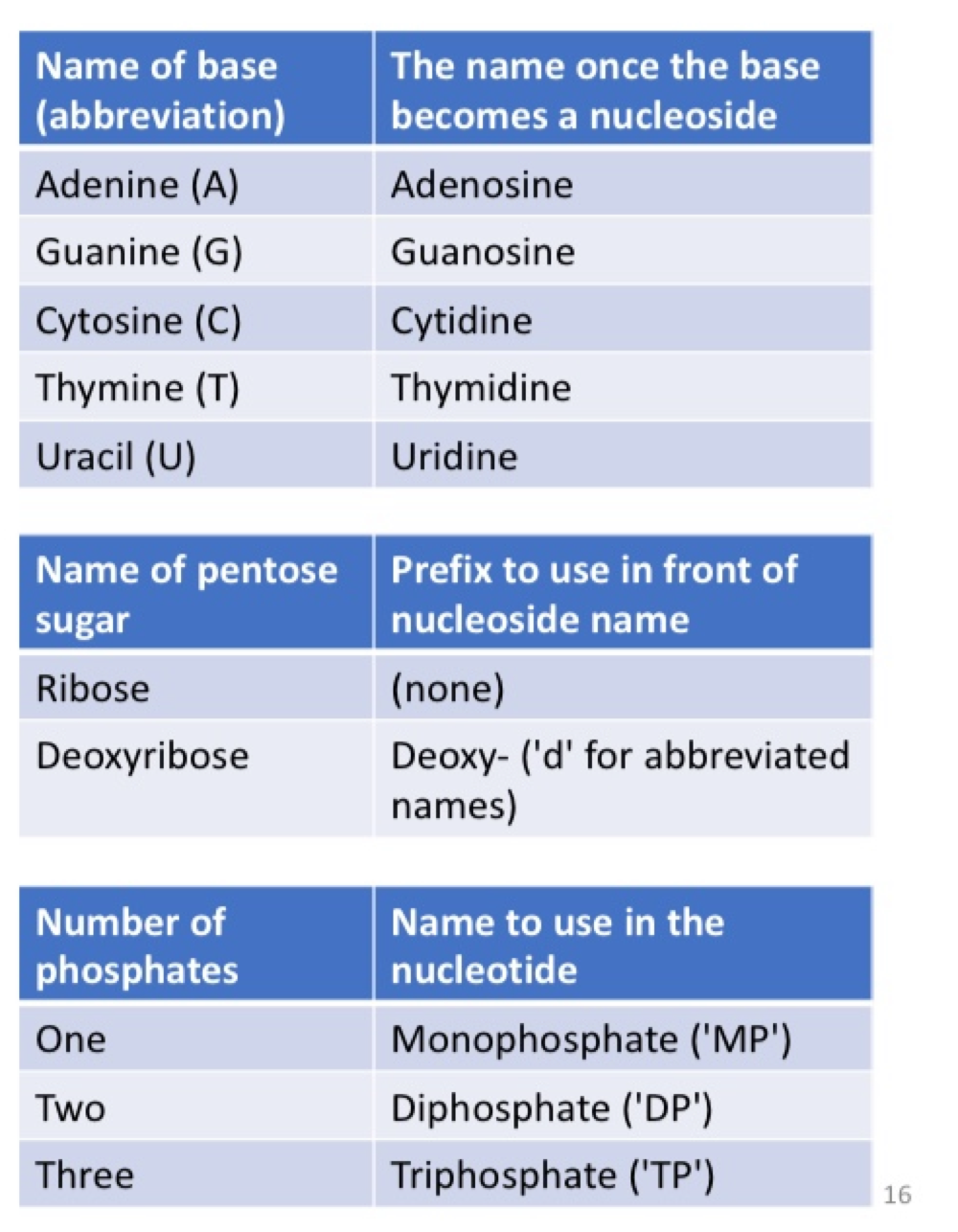 <ul><li><p>we follow the IUPAC code to name and abbreviate nucleotides systematically </p></li><li><p>the letter ‘N’ is used to represent ‘aNy’ nitrogenous base in DNA </p></li><li><p>in a DNA sequence, writing ‘N’ means that the position can be any one of A, G, C, or T </p></li><li><p>abbreviation for other common combinations of nucleotides:</p><ul><li><p>‘R’ = A or G (puRines)&nbsp;</p></li><li><p>‘Y’ = T or C (pYrimadines)&nbsp;</p></li></ul></li></ul><p></p>