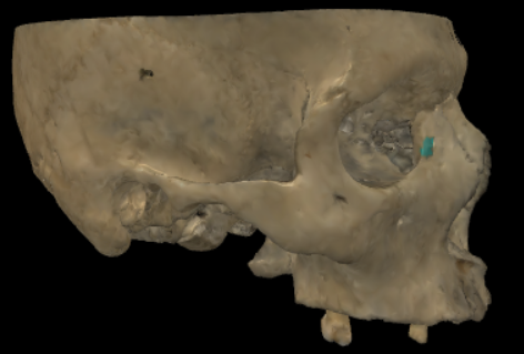 term image