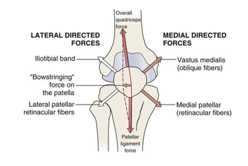 <p>Patellar tracking </p><p>The higher the Q-angle → lateral subluxation </p>