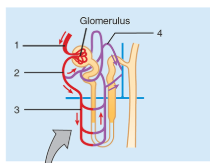 <p>1</p>
