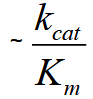 <p>V0 = kcat/Km [E]<sub>T</sub> [S]</p><p>Defines the efficiency of the enzyme Higher values, more efficient</p>