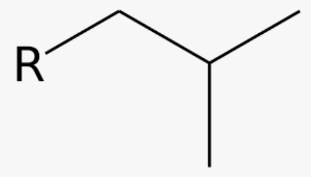 common name for 2-methylpropyl