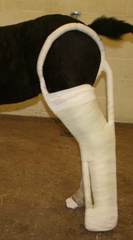 <p>What kind of splint is this?</p>